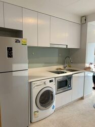 Eight Riversuites (D12), Condominium #502243401
